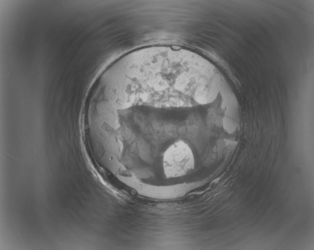X0000055251383200509071604.png