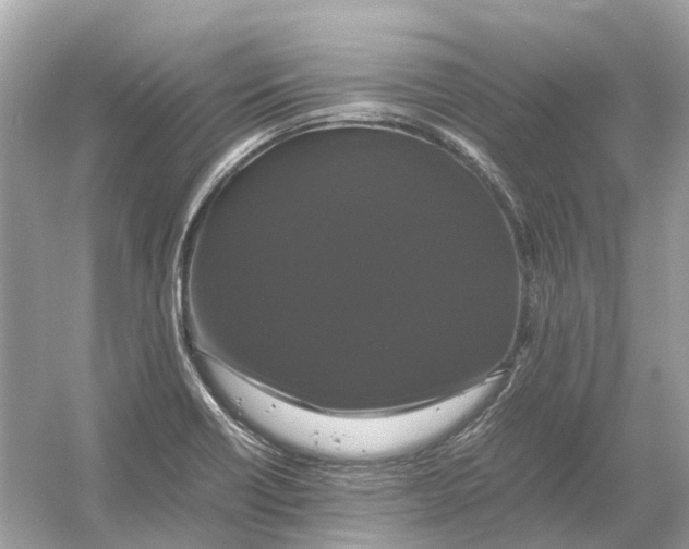 X0000054351418200508190116.png