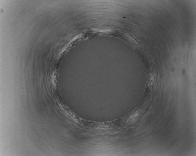 X0000054171010200508101754.png