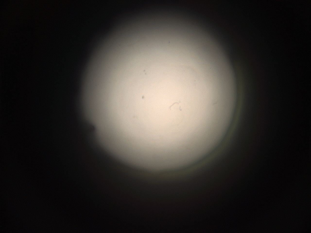 05g5_N5_ImagerDefaults_1.jpg