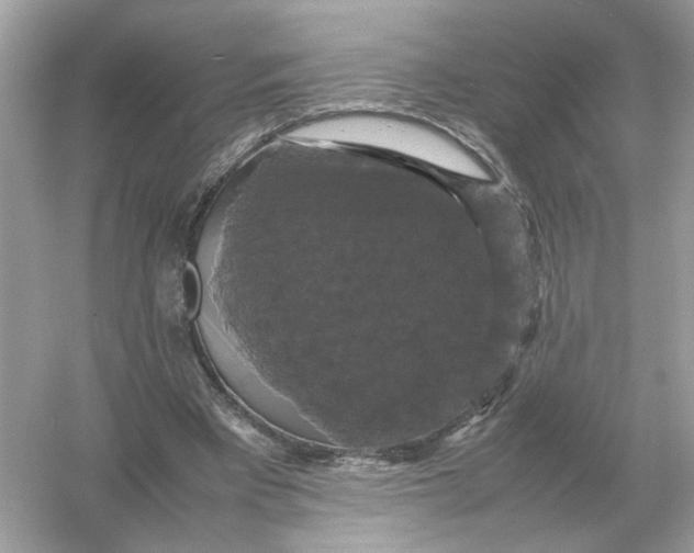 X0000054350393200508190134.png