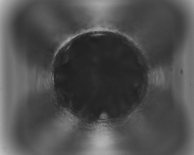 X0000038681262200409281313.png