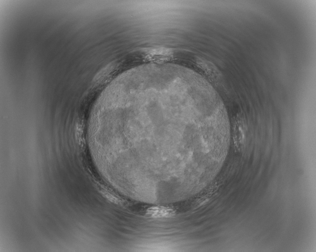 X0000054350714200508190128.png