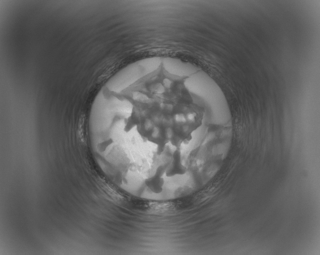 X0000055250185200509071625.png