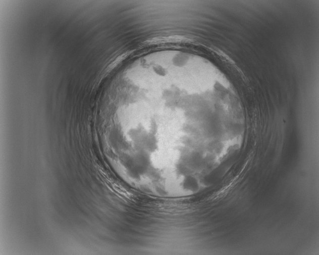 X0000055250921200509071611.png