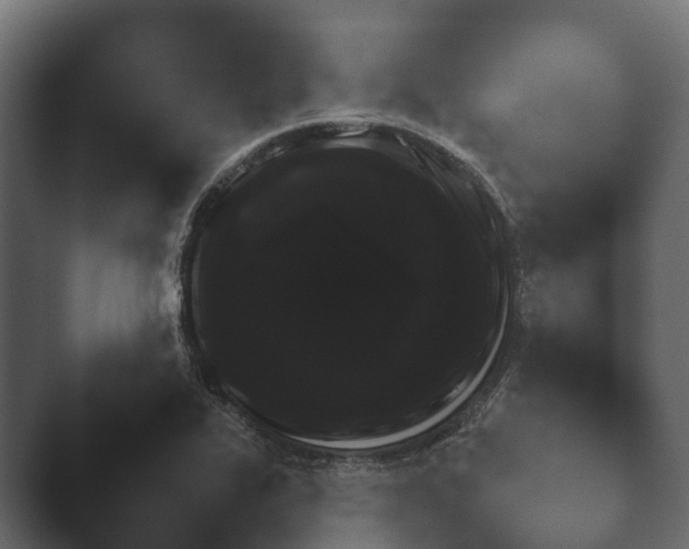 X0000047501319200503161503.png