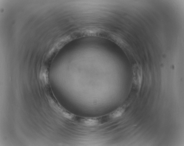 X0000054650718200508091642.png