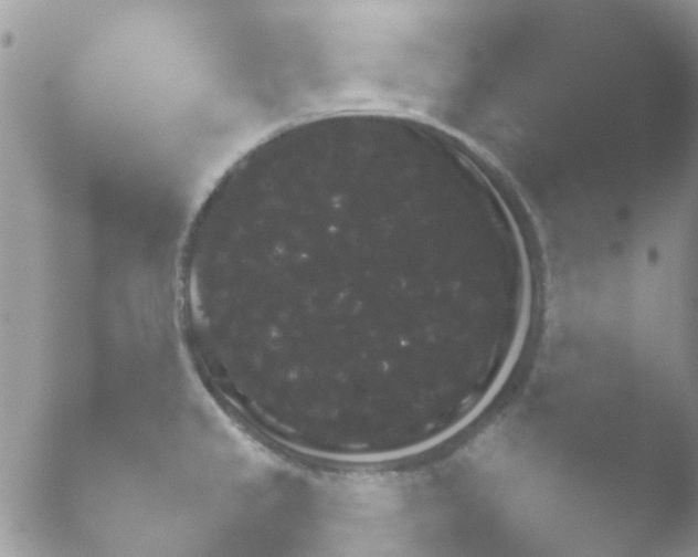 X0000051601333200507052012.png