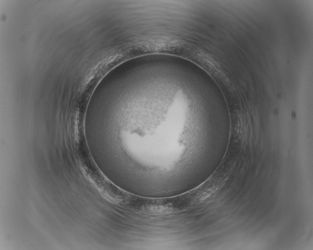 X0000054650590200508091644.png