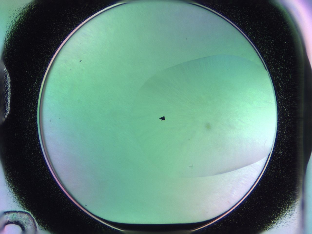 01gi_D12_ImagerDefaults_0.jpg