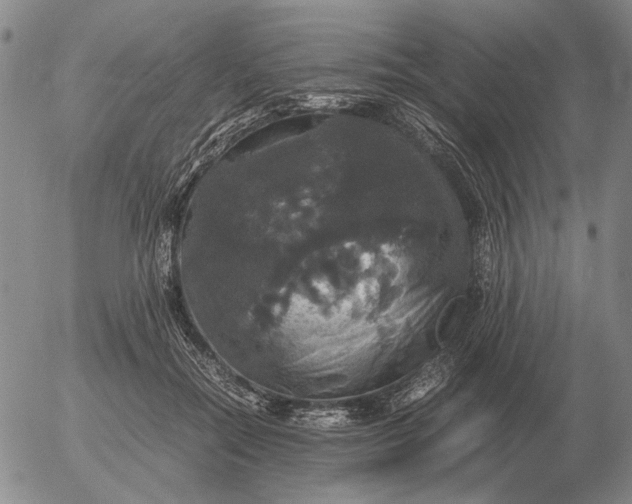 X0000054170554200508101802.png