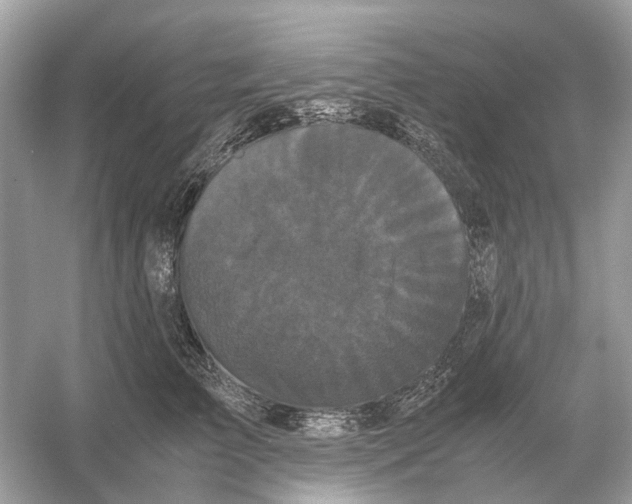 X0000054350709200508190128.png