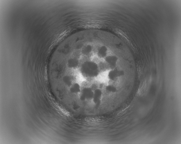X0000055060729200508161645.png