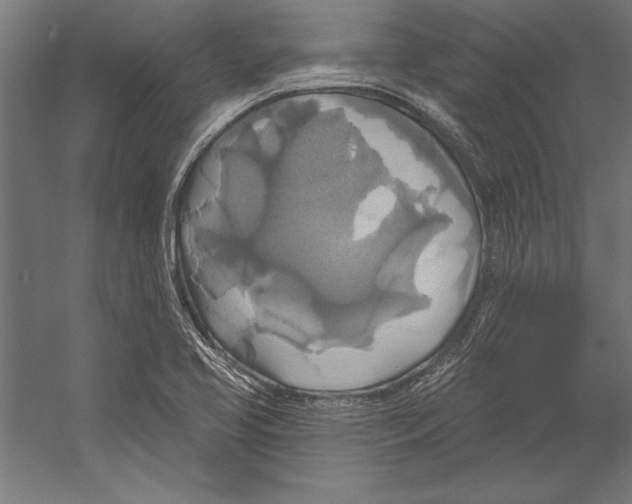 X0000055251413200509071603.png