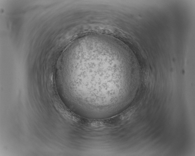 X0000054651489200508091628.png