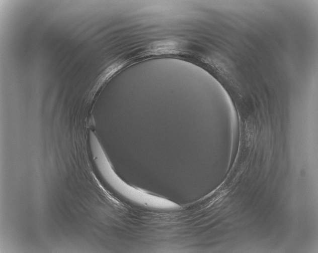X0000054351225200508190119.png