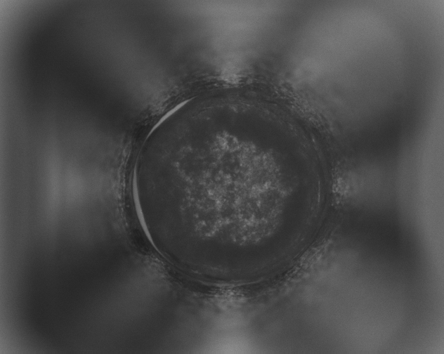 X0000047500656200503161514.png