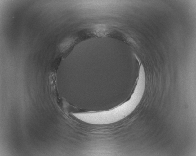 X0000054350237200508190136.png