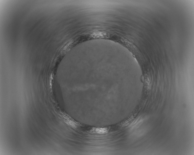 X0000054350665200508190129.png