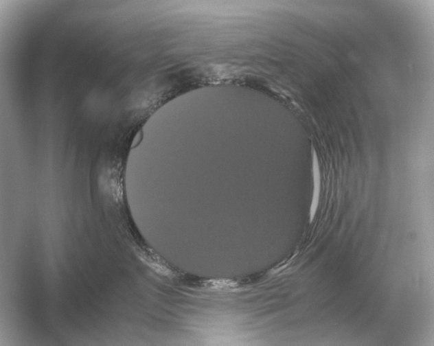 X0000054350719200508190128.png