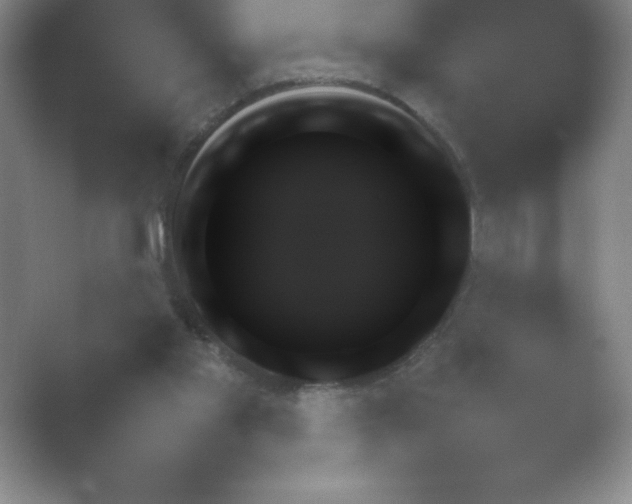 X0000054730109200508171902.png