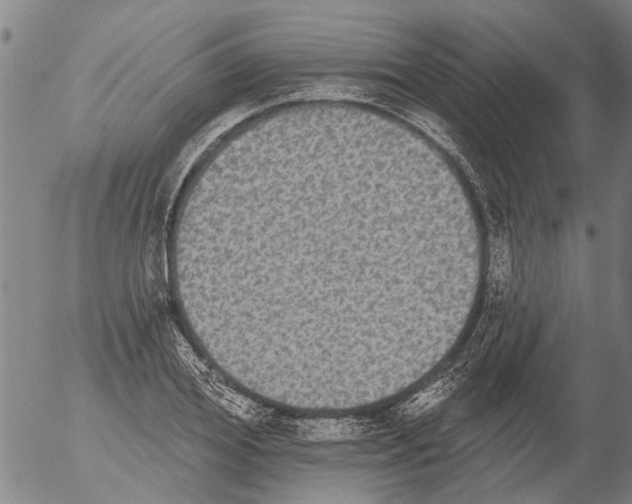X0000054580980200508300056.png
