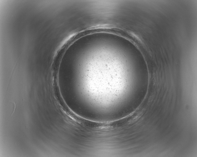X0000054301406200508042258.png