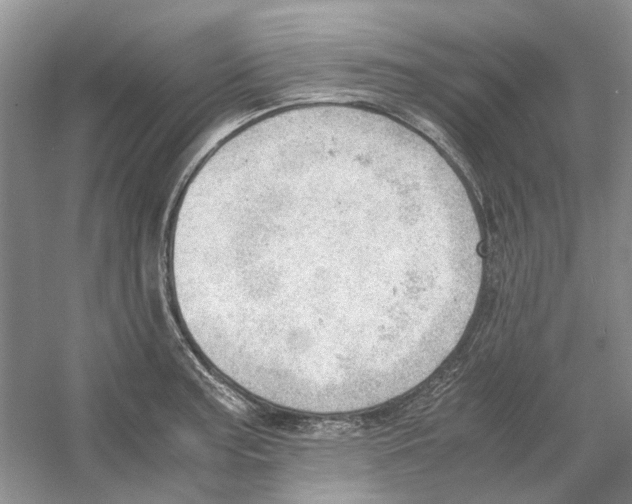 X0000054271187200508261908.png