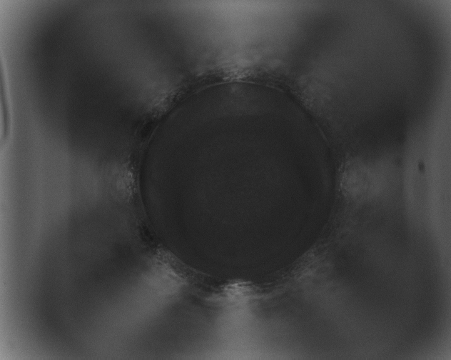 X0000043160219200411300953.png