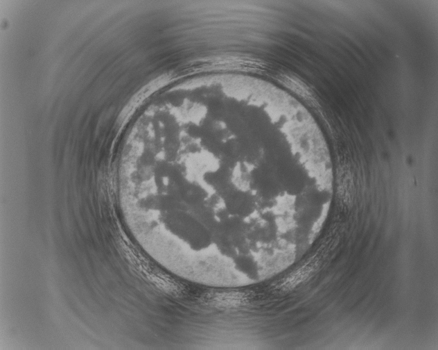X0000054581043200508300055.png