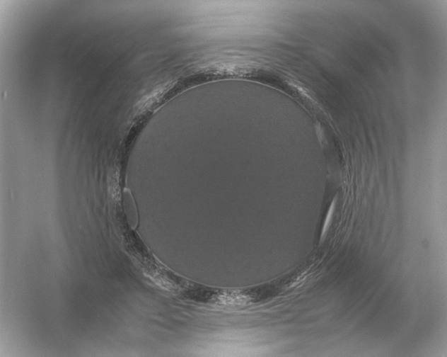 X0000054350403200508190133.png