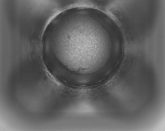 X0000038921240200409290957.png