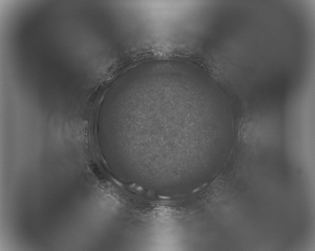 X0000052150650200507051952.png