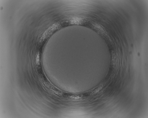 X0000054170502200508101803.png