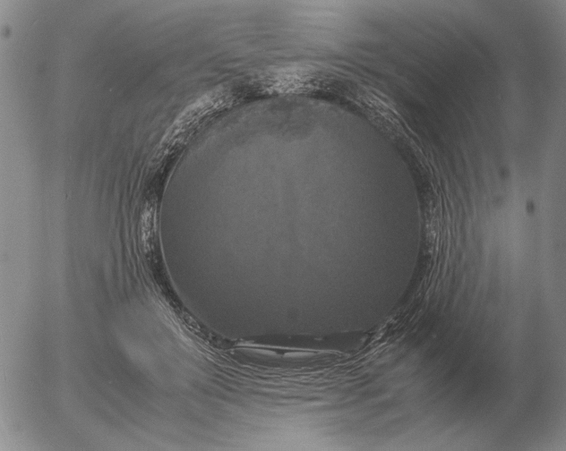 X0000054170503200508101803.png