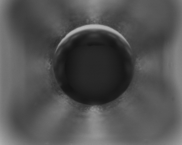 X0000054730223200508171900.png