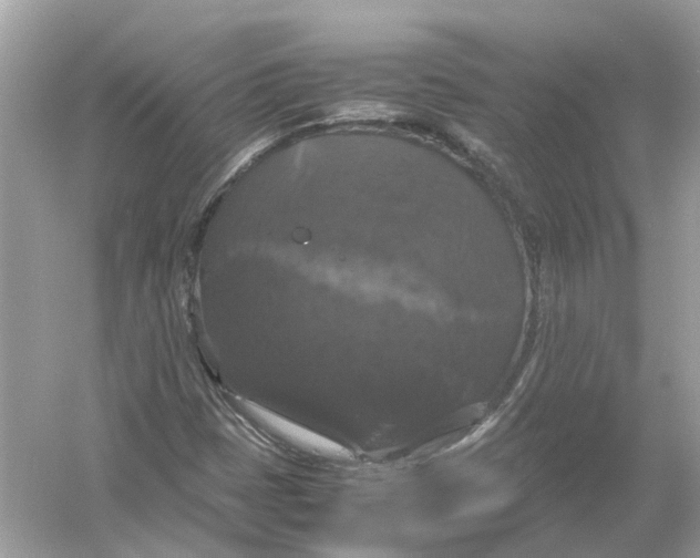 X0000054351401200508190116.png