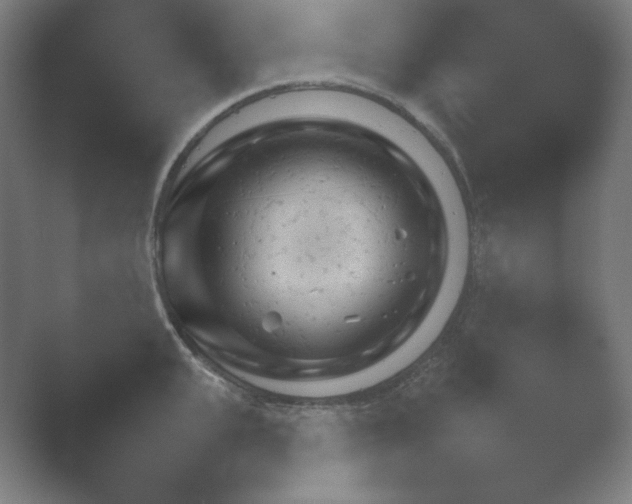 X0000054970951200509051500.png