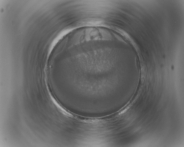 X0000054171432200508101748.png