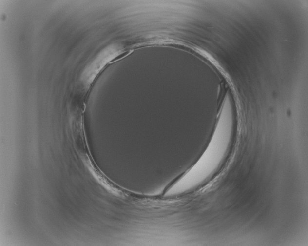 X0000054171289200508101750.png