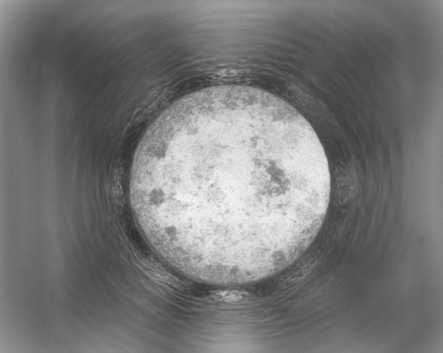 X0000054270654200508261917.png