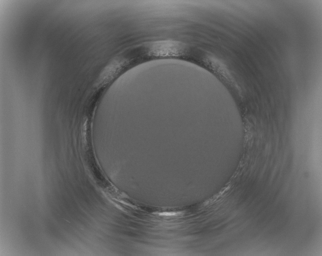 X0000054350163200508190137.png