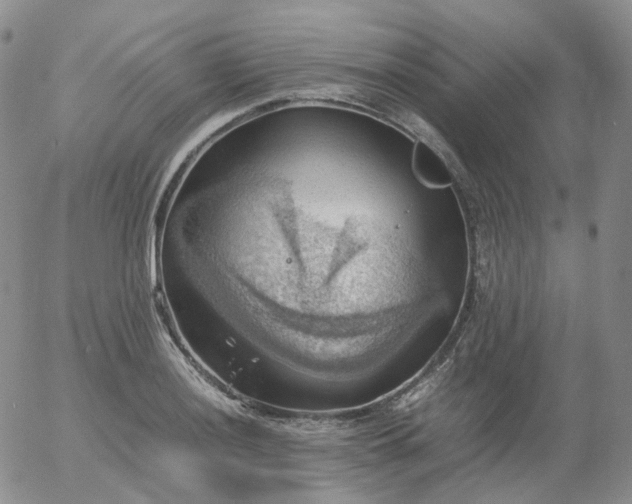 X0000054651036200508091636.png
