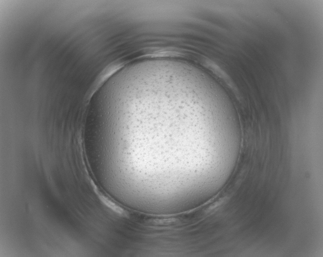 X0000054331425200508111907.png