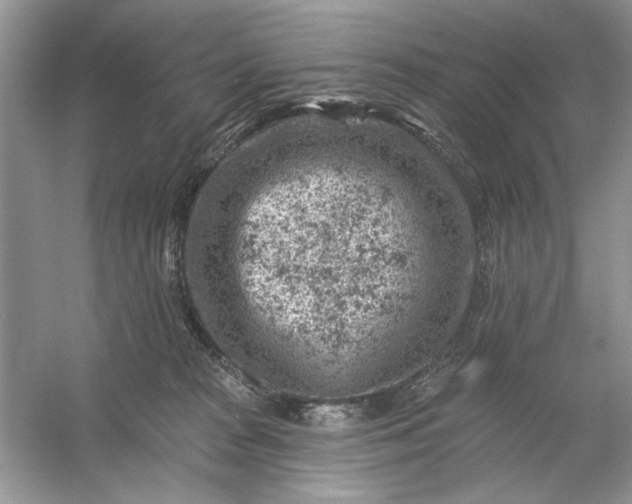 X0000054300277200508042318.png