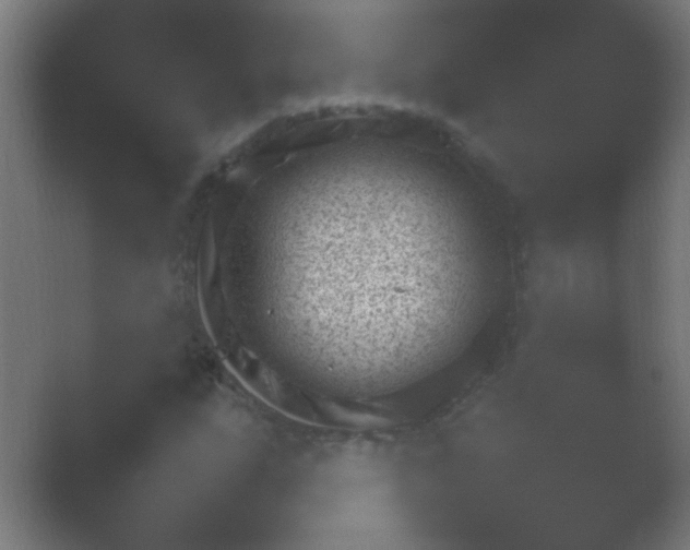 X0000054111207200508022050.png