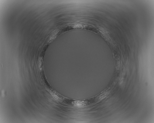 X0000054350273200508190136.png