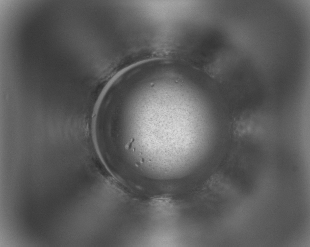 X0000054110666200508022100.png