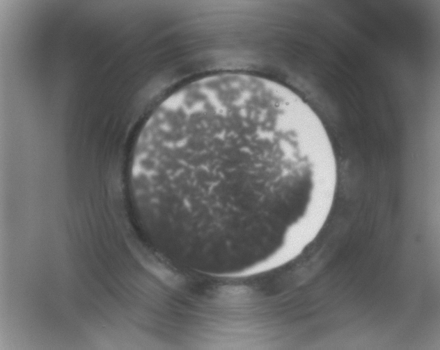 X0000053460203200508112206.png