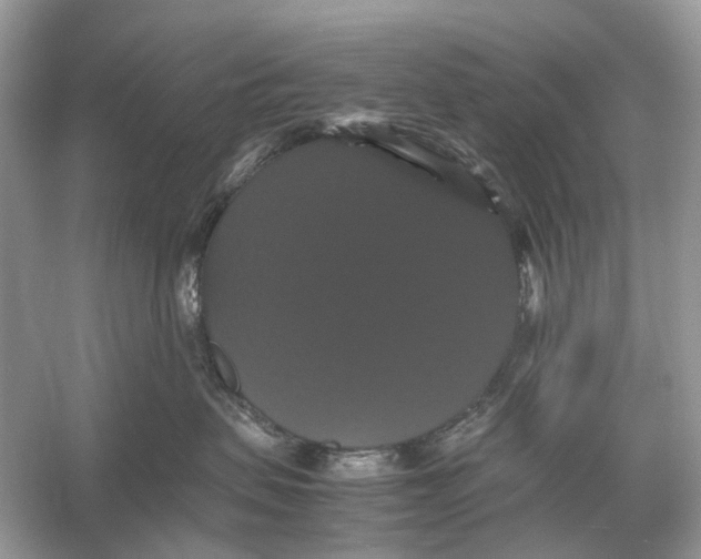 X0000054350479200508190133.png